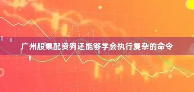 广州股票配资狗还能够学会执行复杂的命令