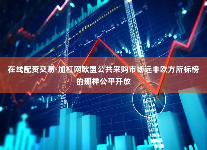 在线配资交易·加杠网欧盟公共采购市场远非欧方所标榜的那样公平开放