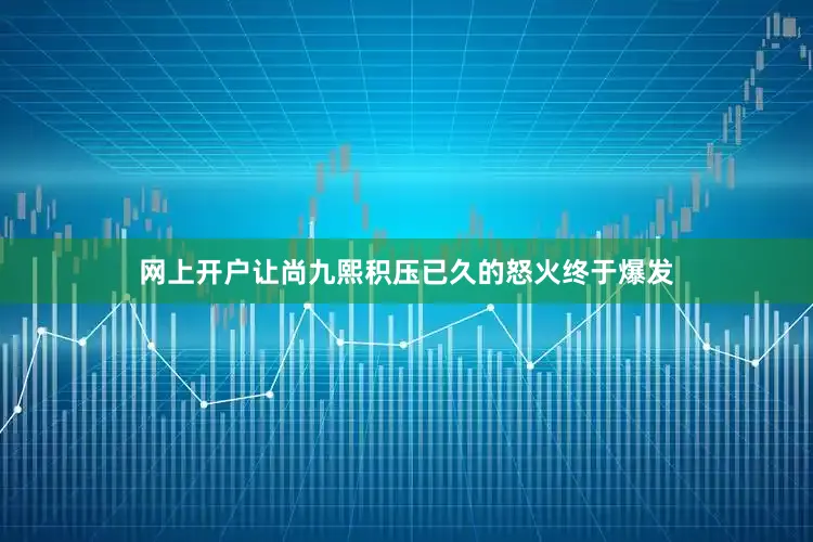 网上开户让尚九熙积压已久的怒火终于爆发